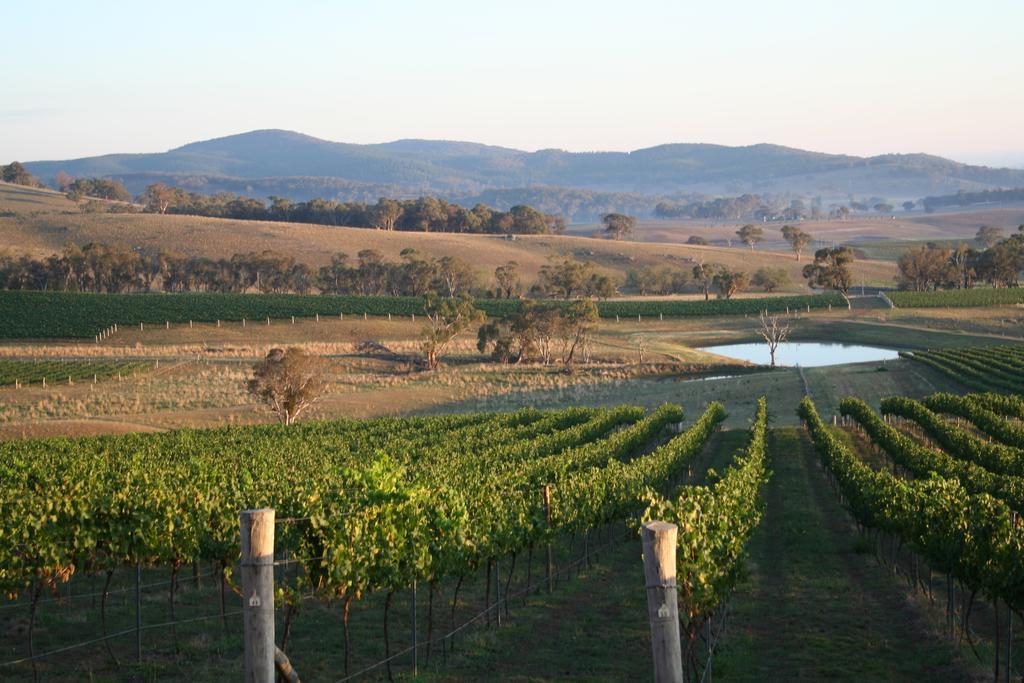 Mayfield Vineyard Orange Luaran gambar