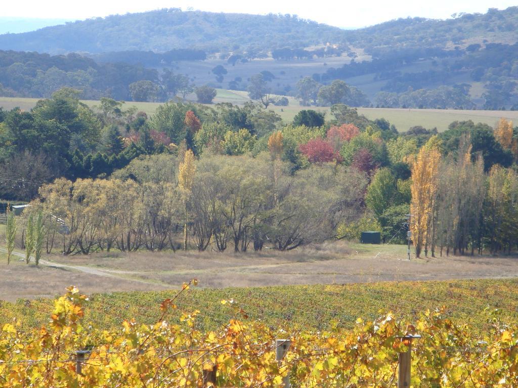 Mayfield Vineyard Orange Luaran gambar