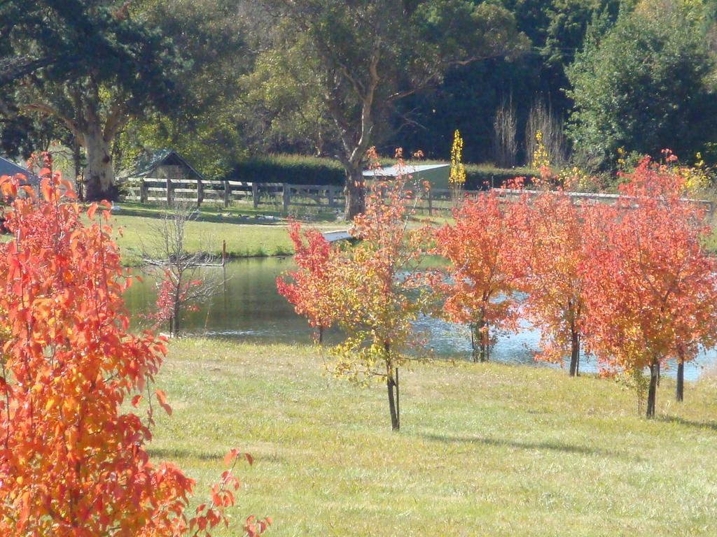 Mayfield Vineyard Orange Luaran gambar