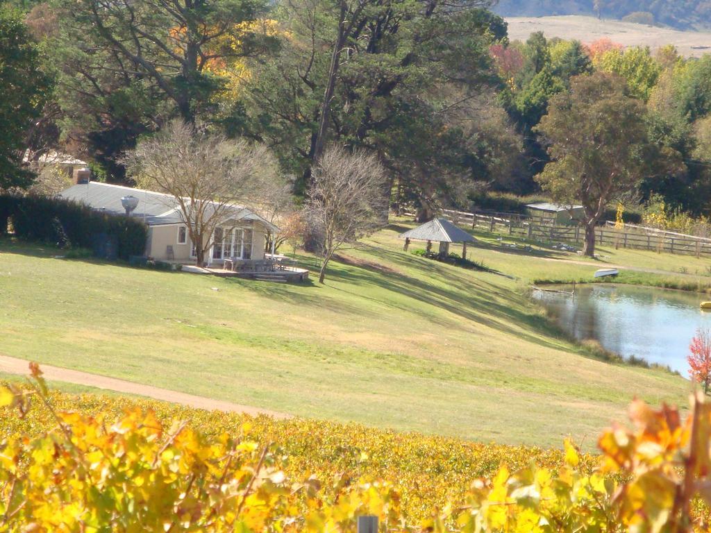 Mayfield Vineyard Orange Luaran gambar