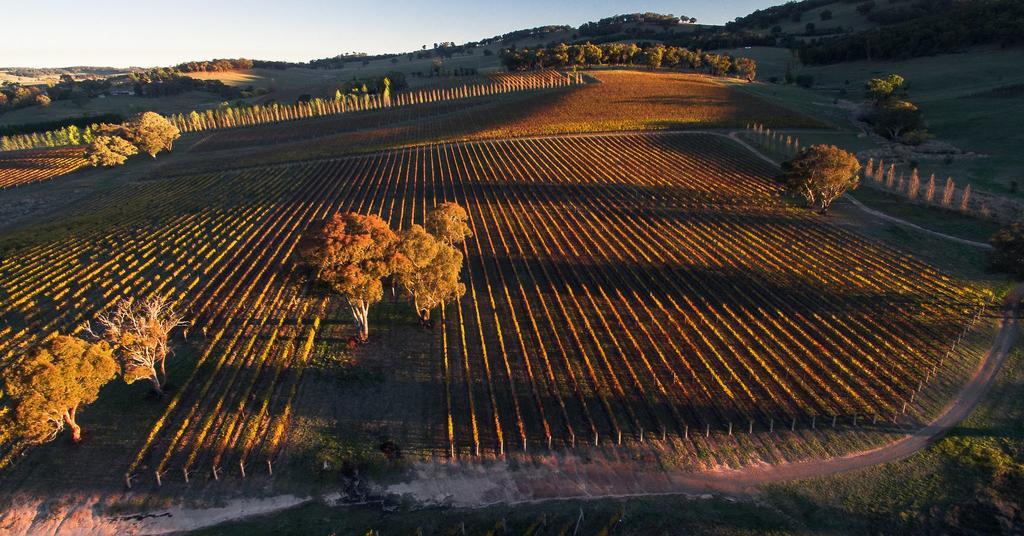 Mayfield Vineyard Orange Luaran gambar
