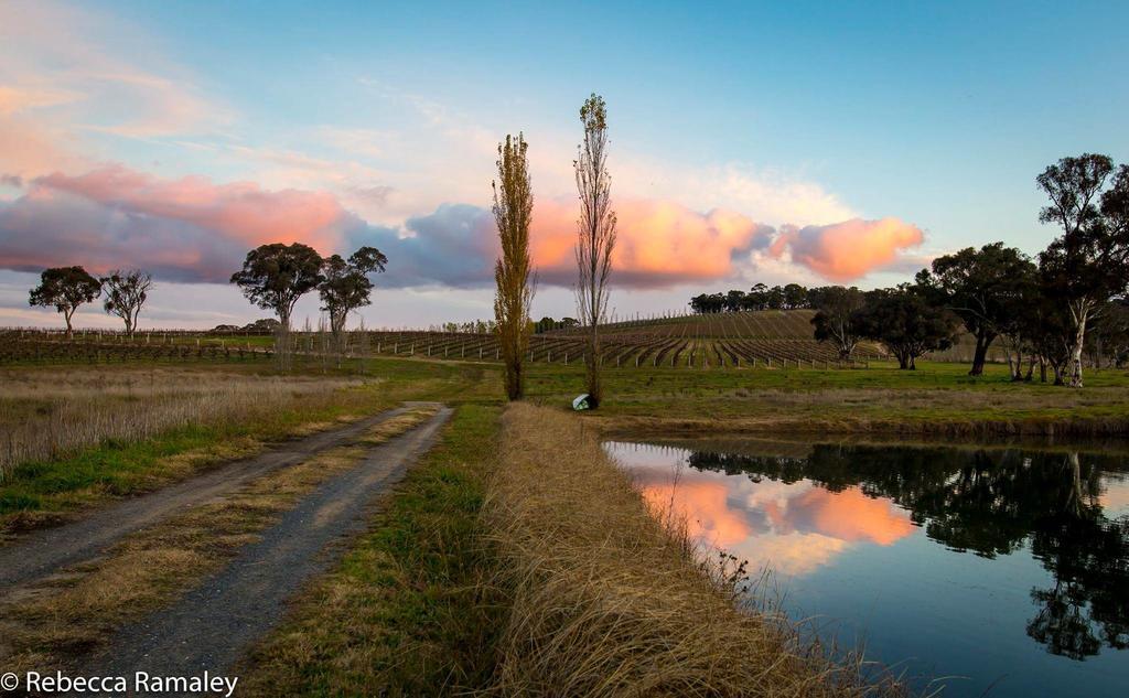 Mayfield Vineyard Orange Luaran gambar